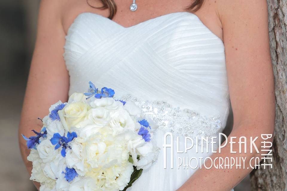 Banff Elopement Photography