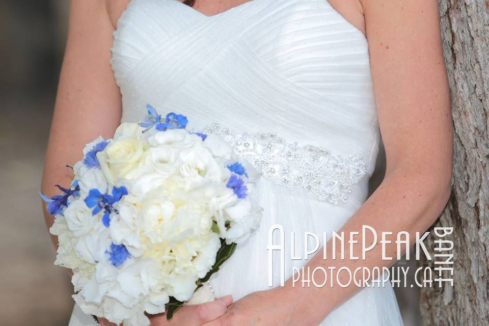 Banff Elopement Photography