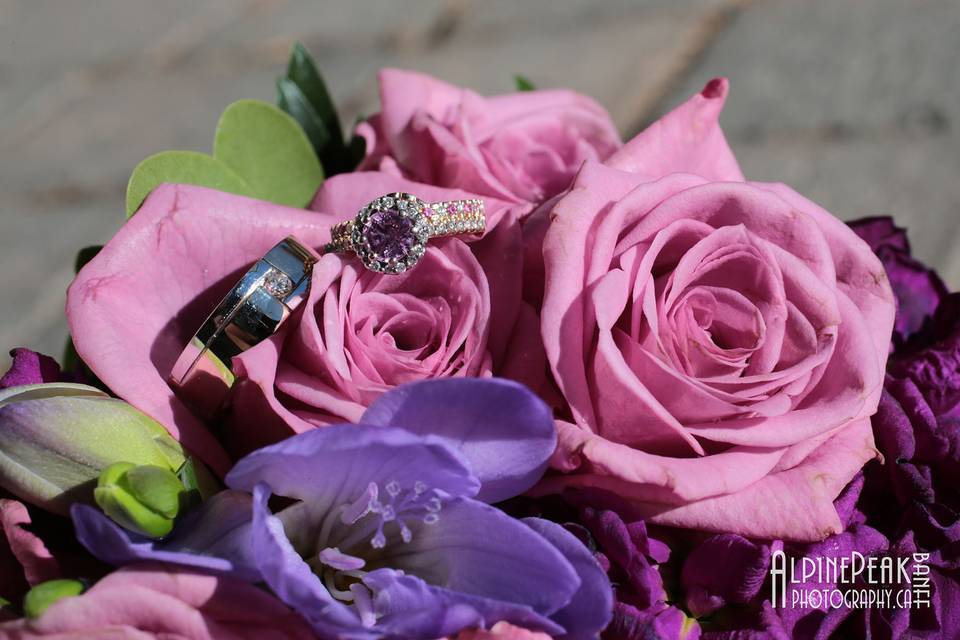 Banff Elopement Photography