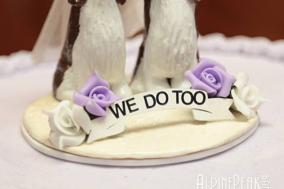 Banff Elopement Photography