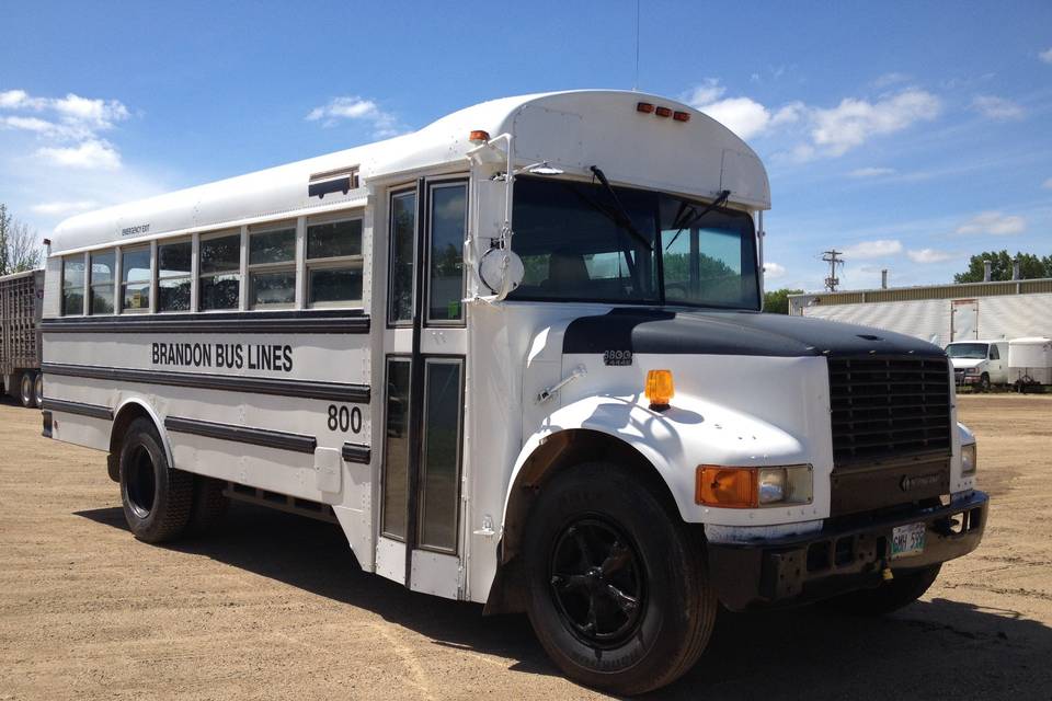School Bus style bus