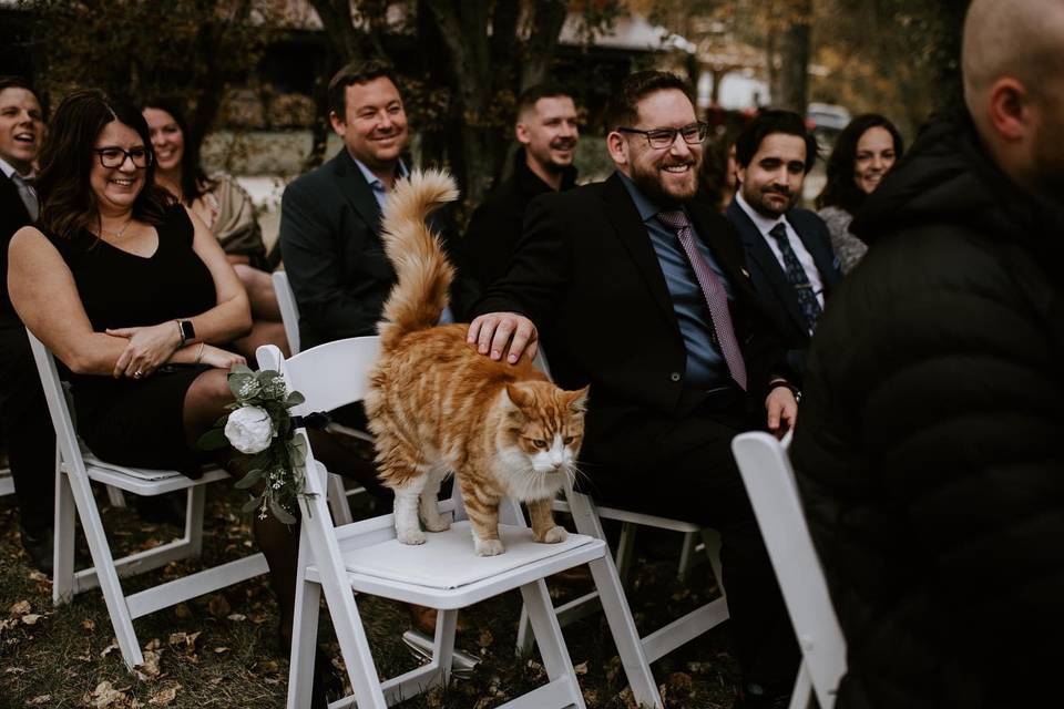 Wedding and Milo