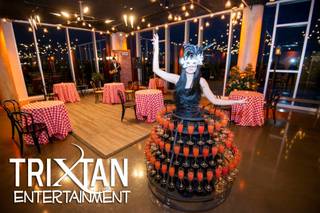 Trixtan Entertainment 1