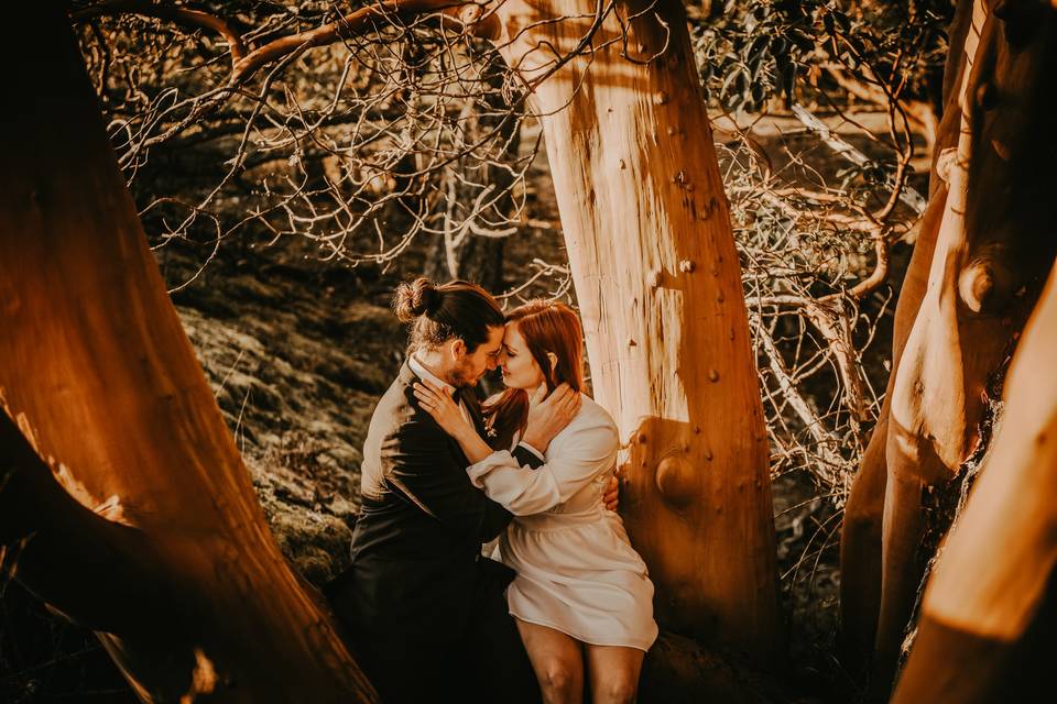 Mountain Top Elopement