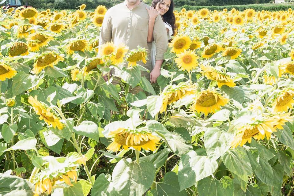 Sunflowers :)