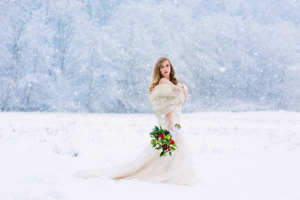 Winter Bride