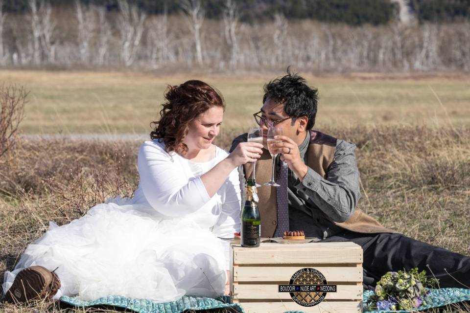 Pic-nic elopement