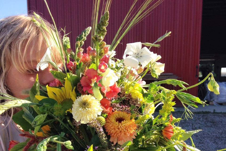 River and Sea Flowers