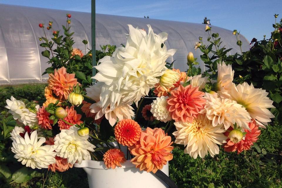 Early summer bouquets