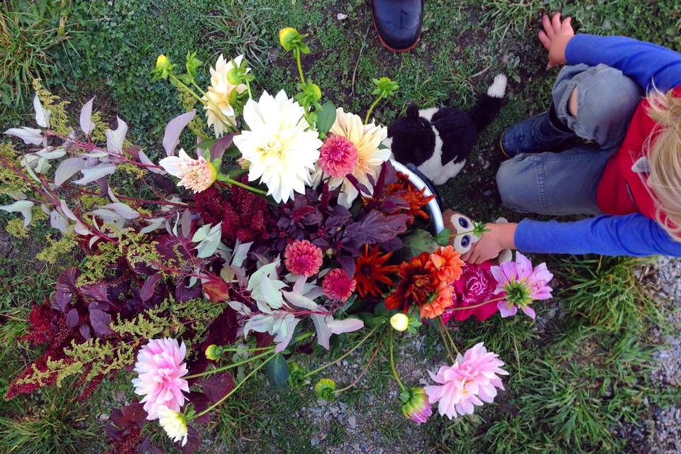 River and Sea Flowers