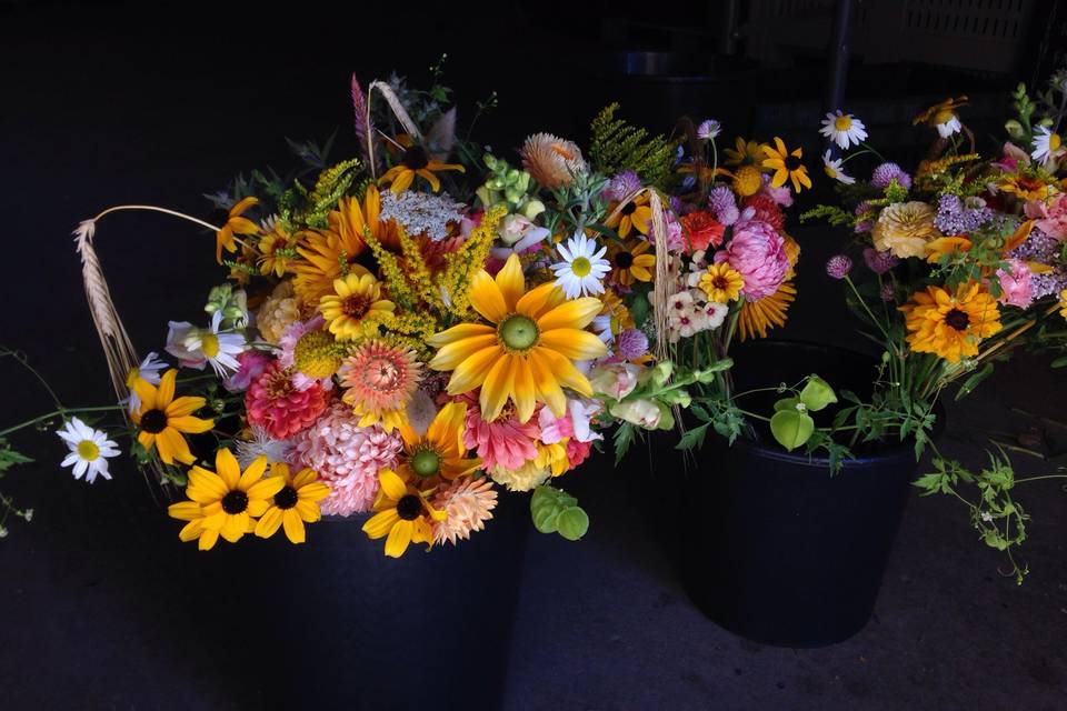 River and Sea Flowers