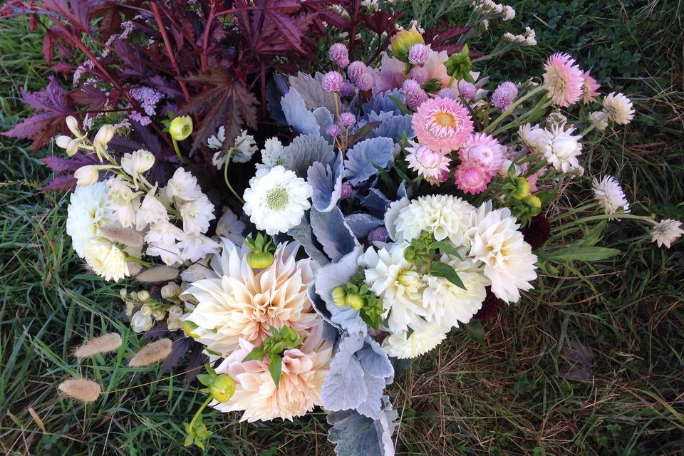 River and Sea Flowers