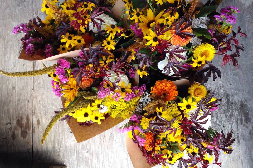 River and Sea Flowers