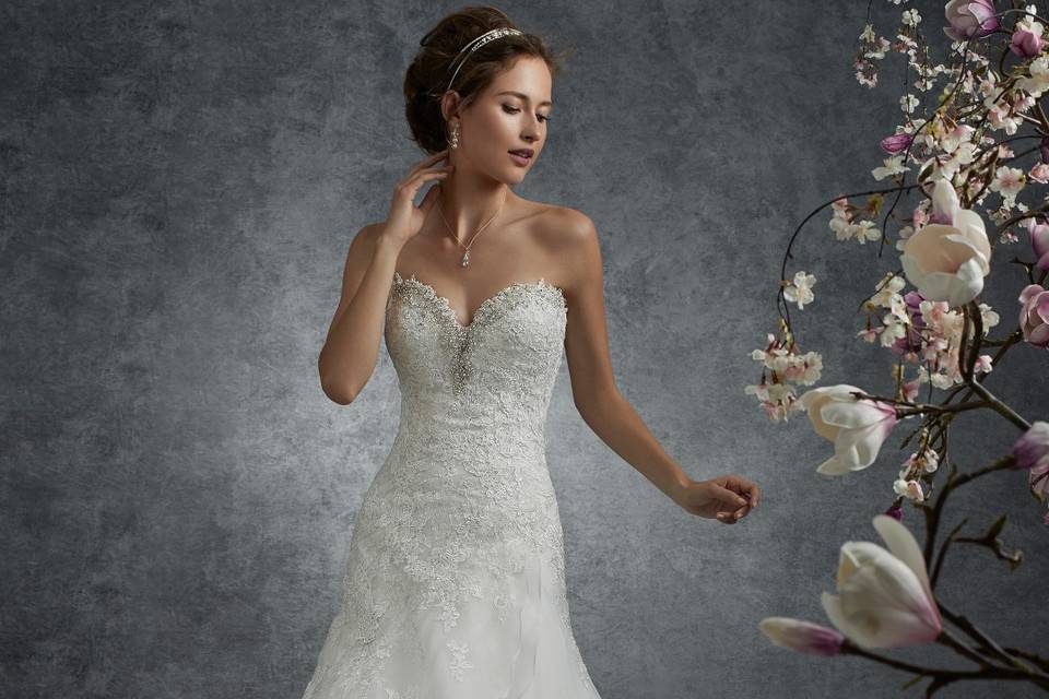 Sophia Tolli Wedding Dress