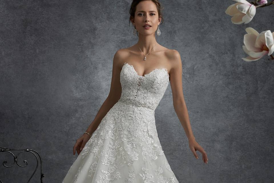 Sophia Tolli Wedding Dress