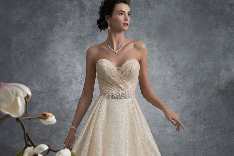 Sophia Tolli Wedding Dress