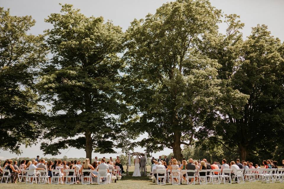 Outdoor ceremony