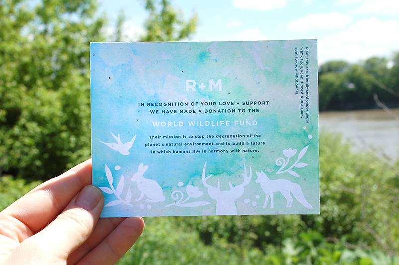 Grow Seed Paper Baby Shower Invitations - Botanical PaperWorks