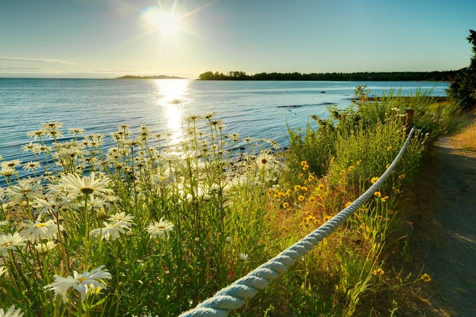 Beach Path