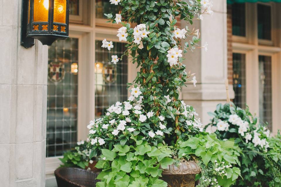 Blooming planters