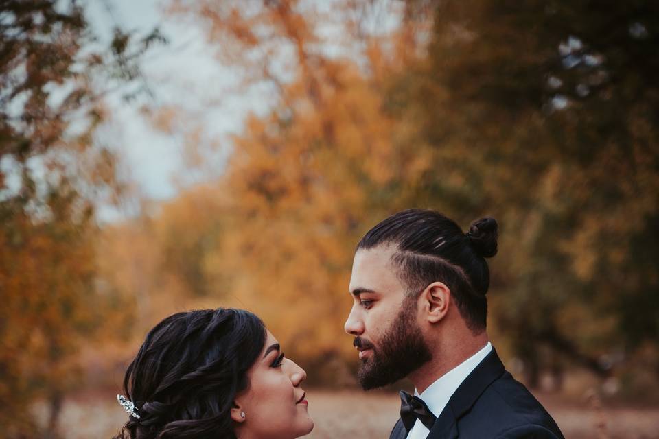 Lovely Voluminous Bridal Hair