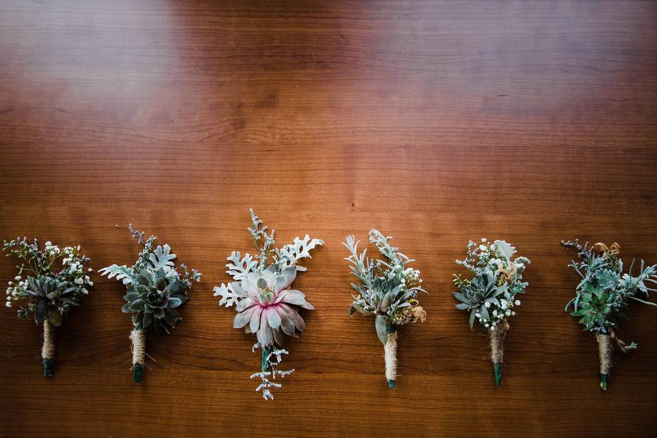 Cute succulent boutonnierres