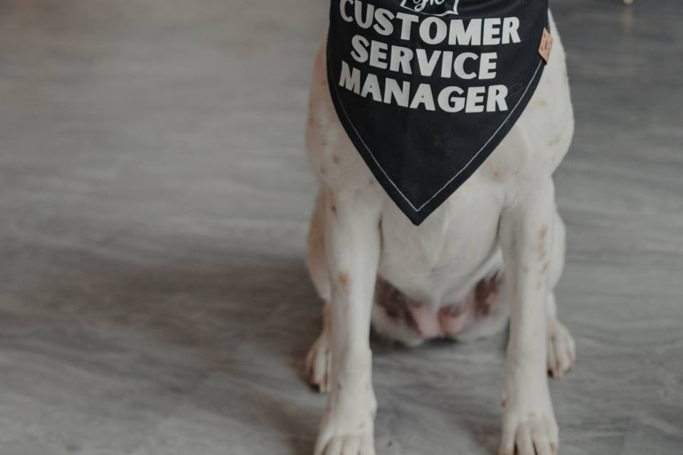 Customer service manager