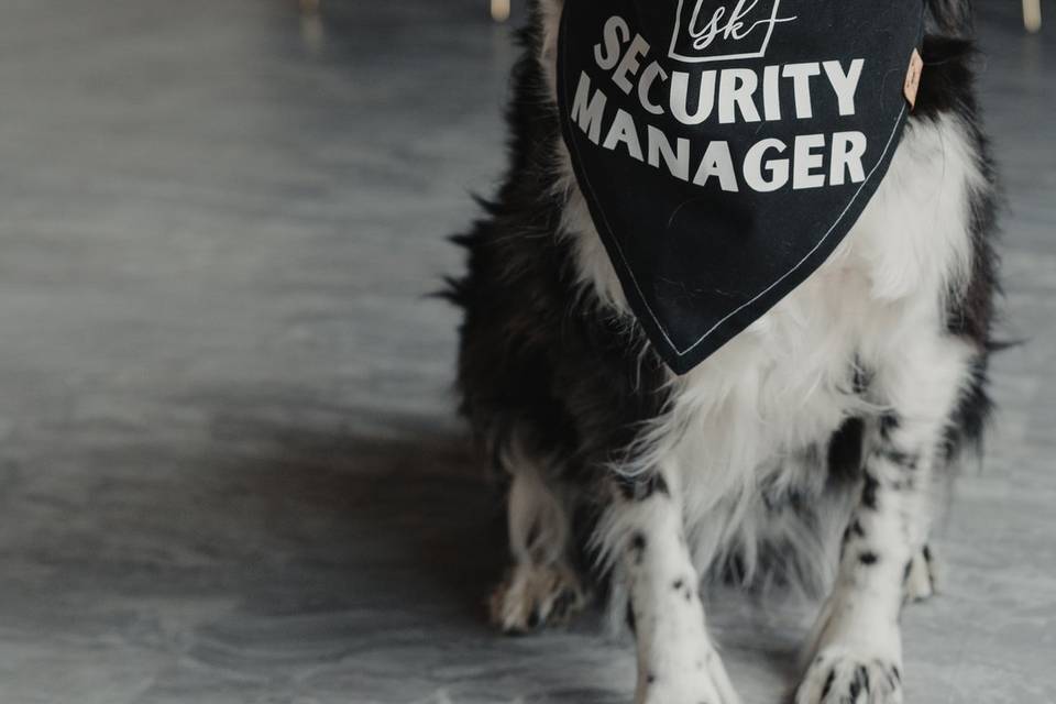 Security manager