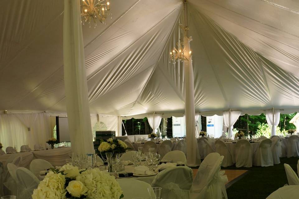 Elite Party Rentals