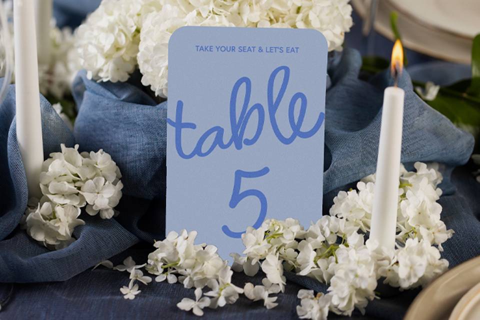 Bubbly Table Numbers