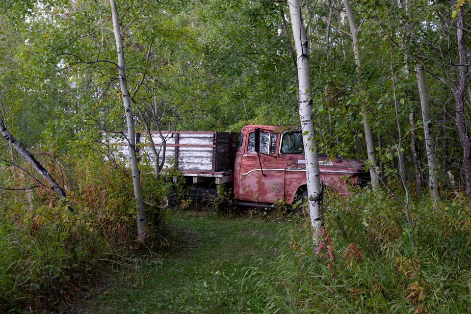 1950's Fargo in rustic area