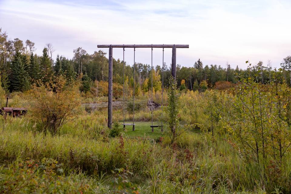 Swings in rustic area