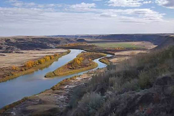 Hammer Head Scenic Tours