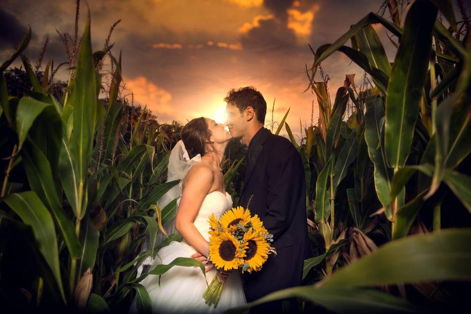 Cornfield Wedding