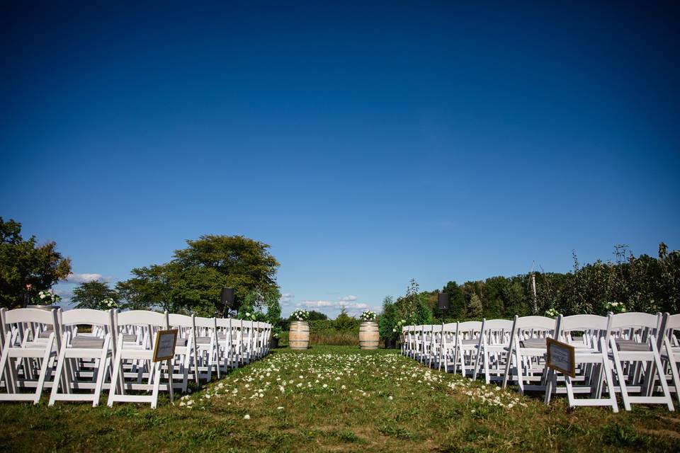 Ceremony on Back Lawn