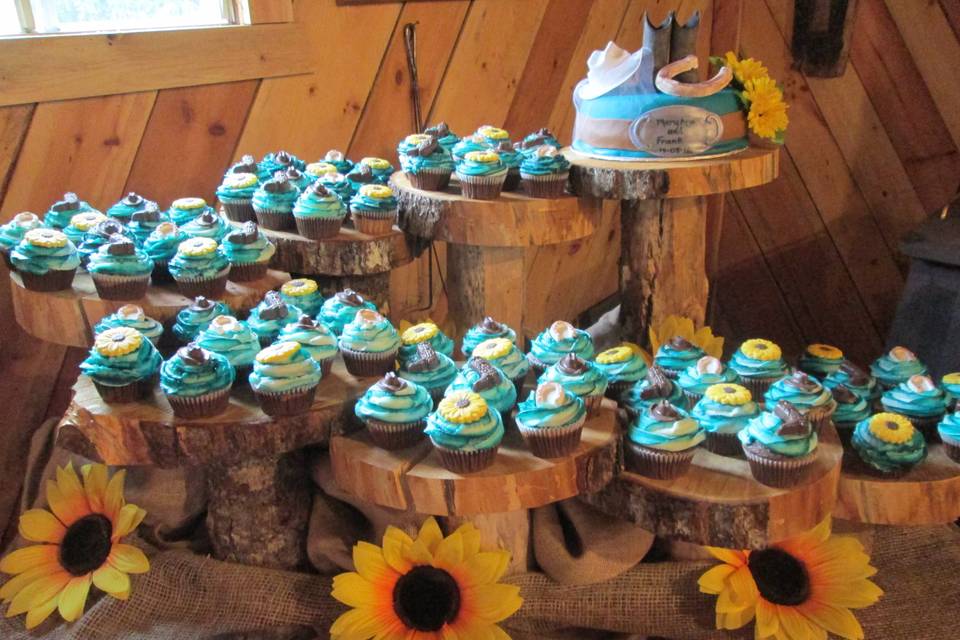 Western theme cake and cupcake