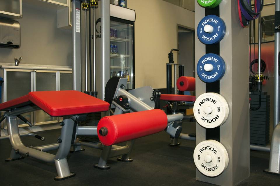 Personal Training Toronto