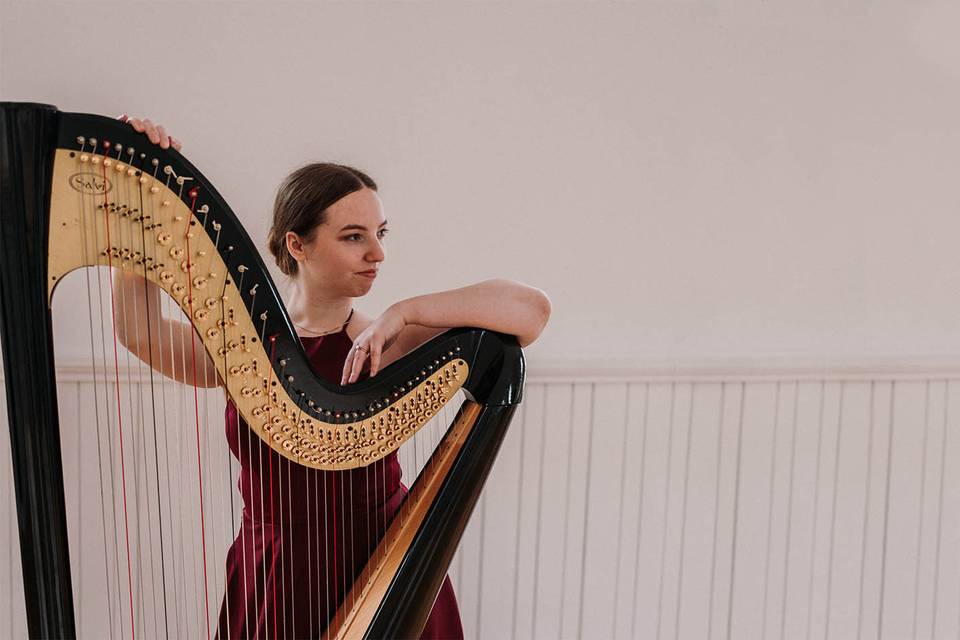 Hannah Warren, Harpist