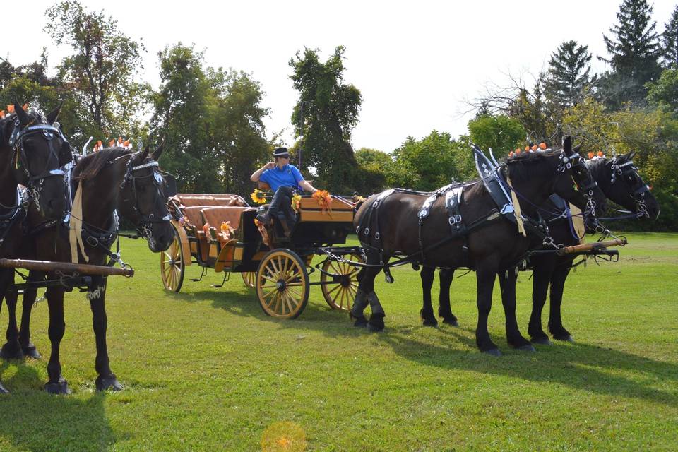 Carriages wait for party