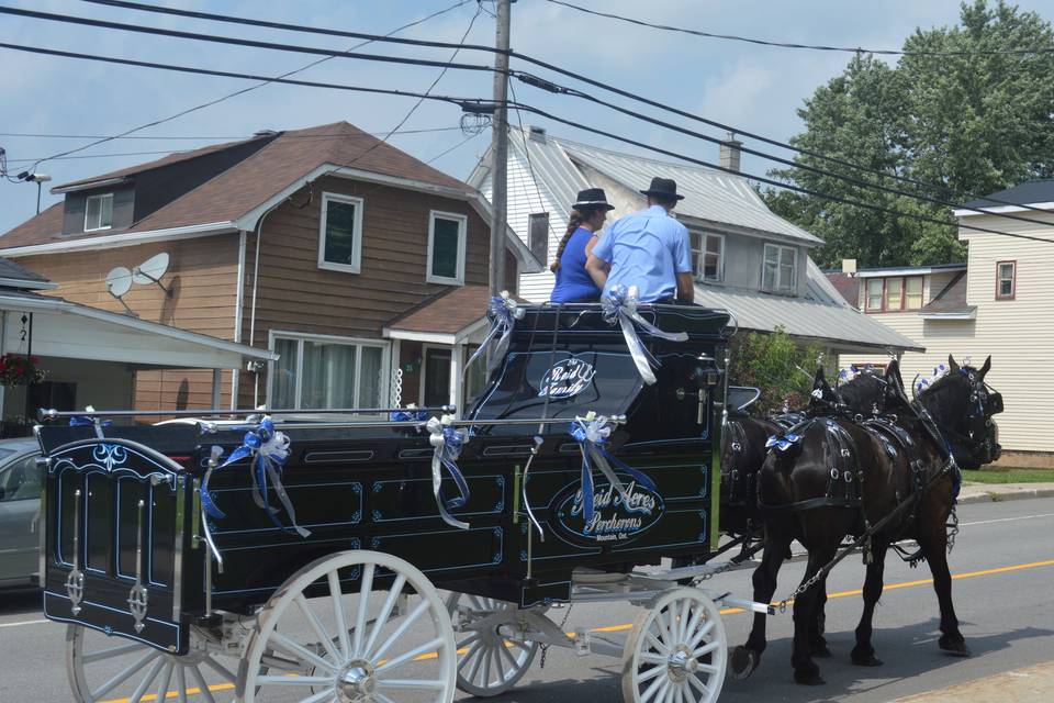 Show wagon, brides maids