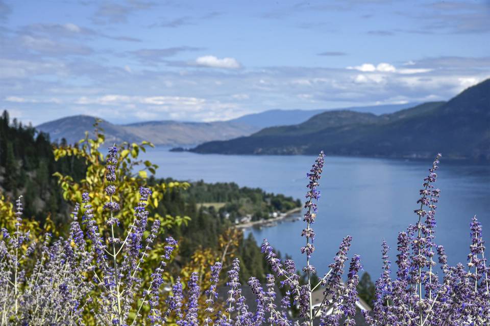 Lake Okanagan