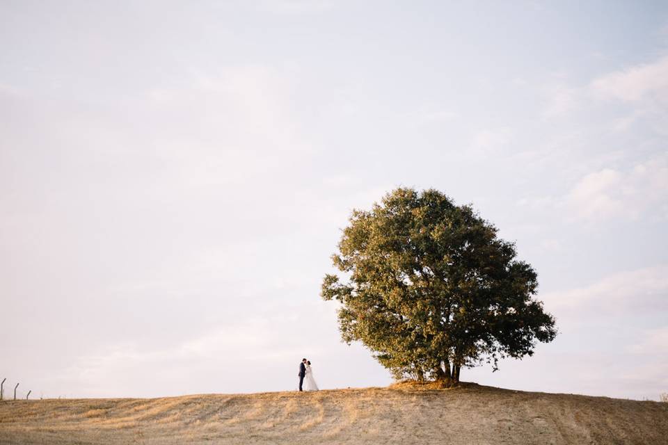 Wedding photography