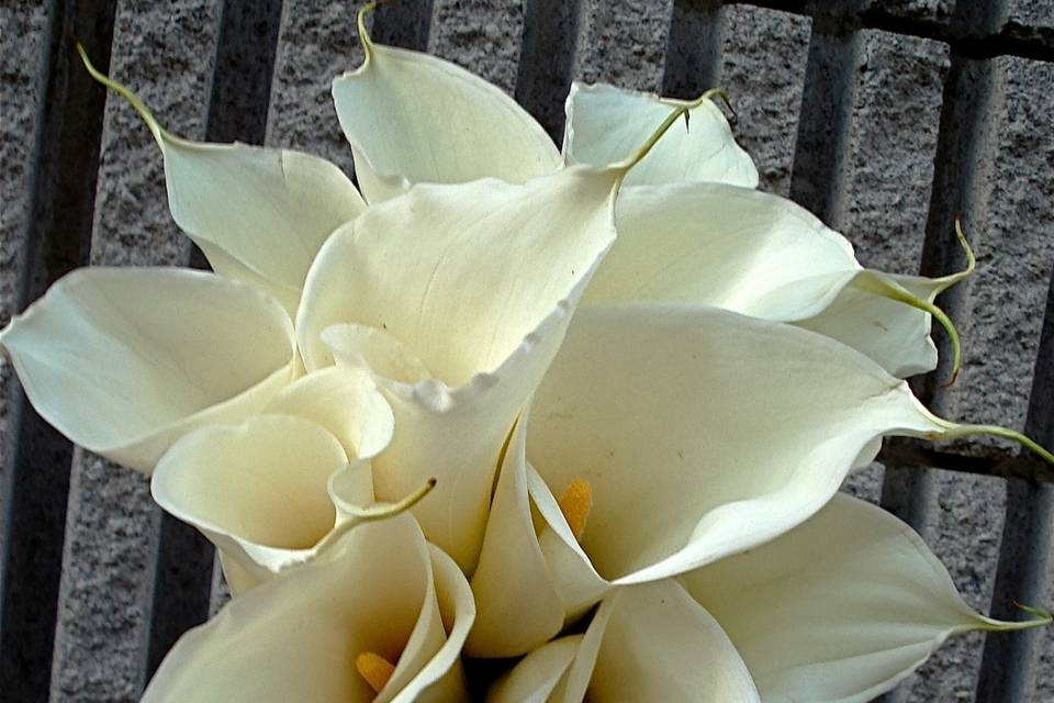 Bridal bouquet