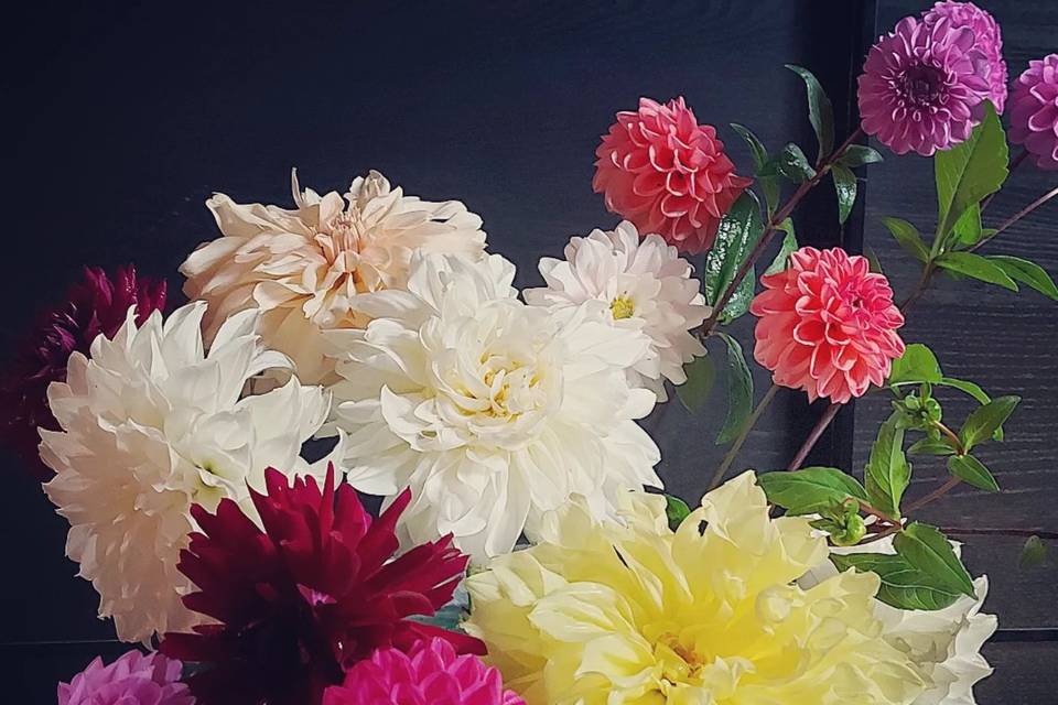 Bucket of blooms