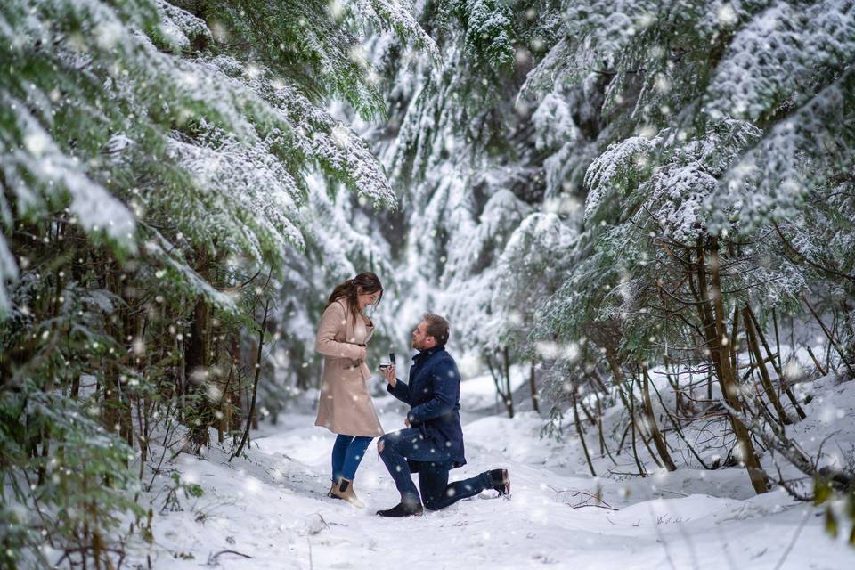 Proposal in the snow