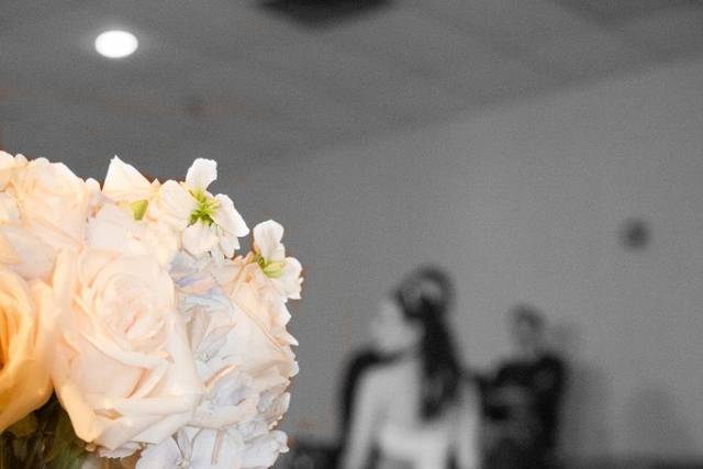 7882_1_website_small (683x1024).jpg