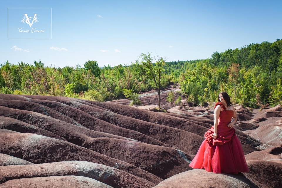 Bridal Portrait at Badland