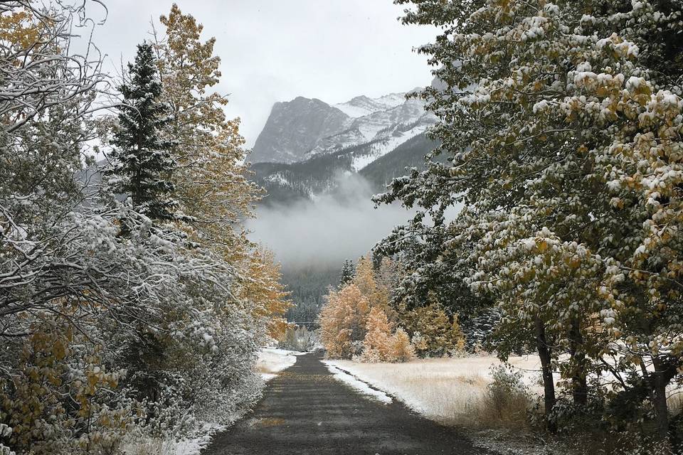 Canmore wedding bliss