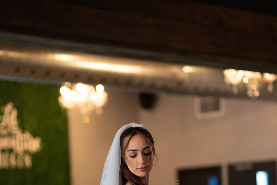 Wrapped in Love — timeless mem