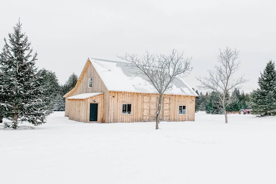 Patio Side of Barn in Winter